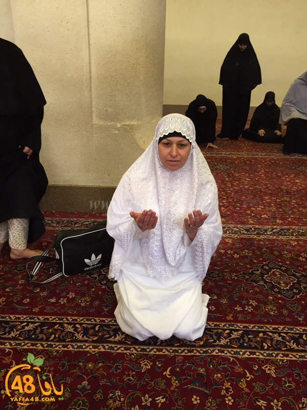 mo3tmreen yaffajs (14).JPG